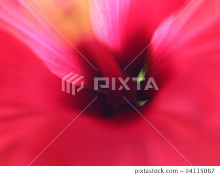 《Flower core》Hibiscus flower core 《Flower core》Hibiscus flower core 94115087