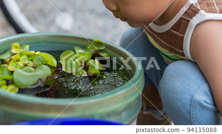 產於淡水的將科小魚 兒童 小孩 94115088