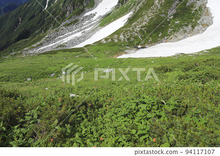 Flower garden in the sky Tateyama mountain range 94117107