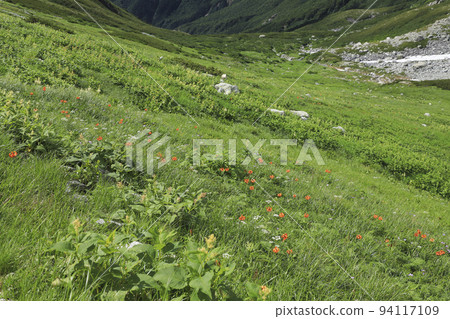 Flower garden in the sky Tateyama mountain range Flower garden in the sky Tateyama mountain range 94117109