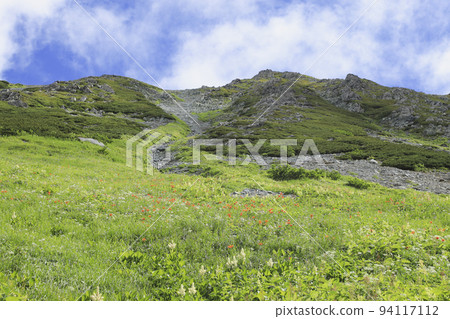 Flower garden in the sky Tateyama mountain range 94117112