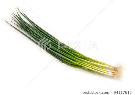 博多萬能蔥 94117613