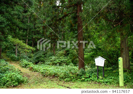 通往風景秀麗的秋田縣瀧之澤的道路 94117657