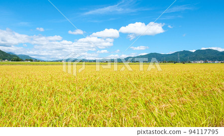 Autumn countryside 94117795