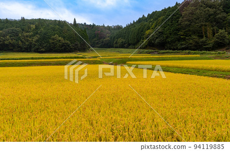 Scenery of autumn-colored rice terraces, Amano, Katsuragi-cho, Ito-gun, Wakayama Prefecture 94119885