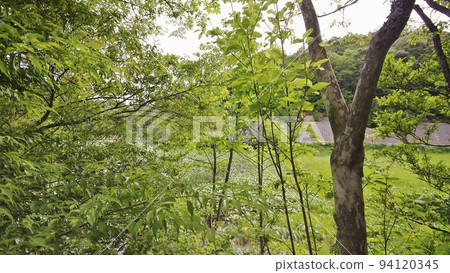 Haginokima village in summer 94120345