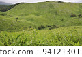 Akiyoshidai and grasslands in summer 94121301