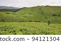 Akiyoshidai and grasslands in summer 94121304
