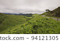 Akiyoshidai and grasslands in summer 94121305