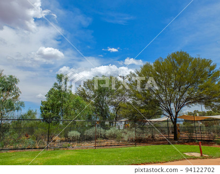 澳大利亞的藍天、草地和樹木 94122702