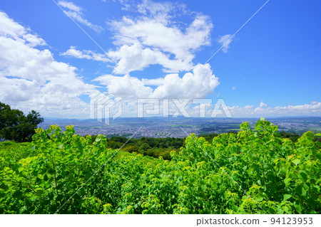從若草山頂遠眺生駒山和平城遺址 94123953