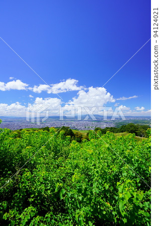 Greenery and blue sky, Nara city from the summit of Mt. Wakakusa Greenery and blue sky, Nara city from the summit of Mt. Wakakusa 94124021
