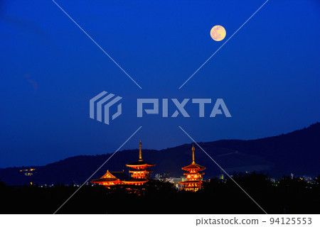 《奈良縣》世界文化遺產藥師寺夜景/ 《奈良縣》世界文化遺產藥師寺夜景/ 94125553