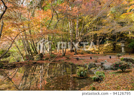 Beautiful autumn colored leaves garden in Daigo-ji temple, Kyoto, Japan 94126795