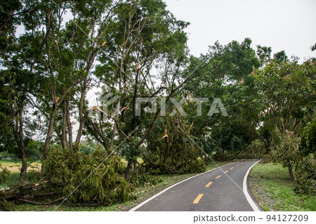 The tree was destroyed by the storm's intensity The tree was destroyed by the storm's intensity 94127209