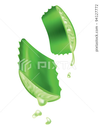 Aloe vera, realistic green plant, leaves and cut pieces with fresh juice drops, isolated on white background. Icon use for cosmetic products advertesment or for banner, poster design Aloe vera, realistic green plant, leaves and cut pieces with fresh juice drops, isolated on white background. Icon use for cosmetic products advertesment or for banner, poster design 94127772