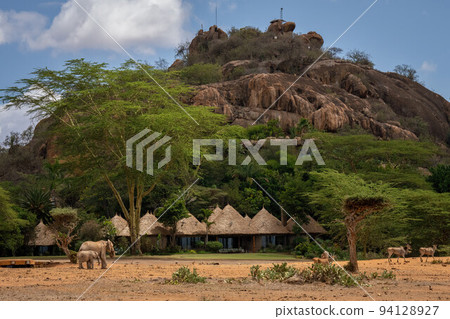 African bush elephants stand by safari lodge African bush elephants stand by safari lodge 94128927