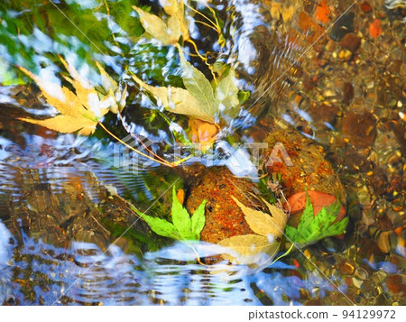 溪流，河流，秋葉，楓葉，秋景，秋意 94129972