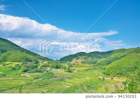 [Terraced rice fields in Ohtawanishi] Ohtawanishi, Misaki Town, Kume District, Okayama Prefecture 94130201
