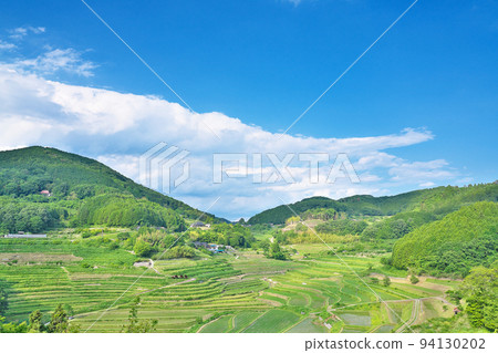 [Terraced rice fields in Ohtawanishi] Ohtawanishi, Misaki Town, Kume District, Okayama Prefecture 94130202