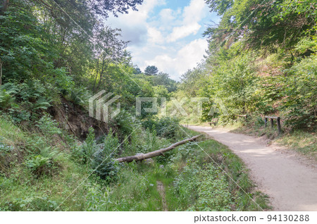 Nature reserve Dolina Chlapowska near Baltic Sea. 94130288