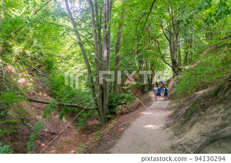 Gorge Fox Ravine (Lisi Jar) in Jastrzebia Gora, Poland. Gorge Fox Ravine (Lisi Jar) in Jastrzebia Gora, Poland. 94130294