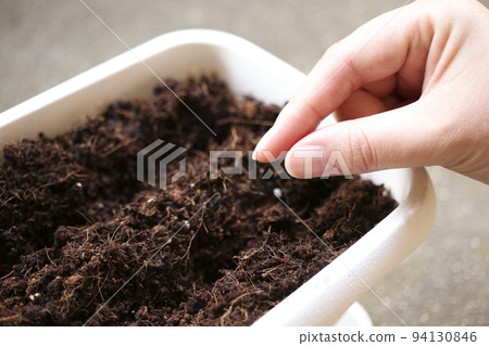 Sowing Sowing 94130846