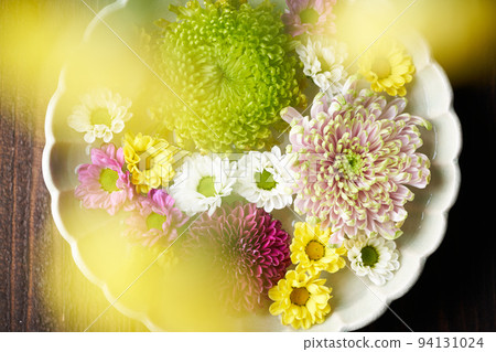花水菊花 94131024
