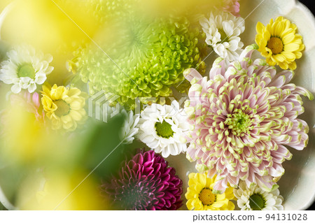 Hanasui chrysanthemum 94131028