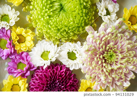 花水菊花 94131029