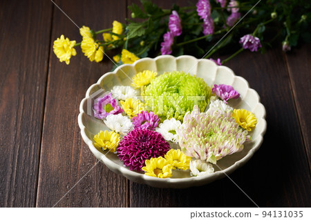 Hanasui chrysanthemum Hanasui chrysanthemum 94131035