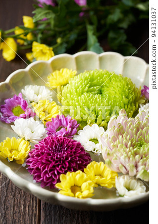 Hanasui chrysanthemum Hanasui chrysanthemum 94131037