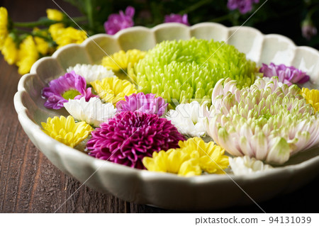 Hanasui chrysanthemum 94131039