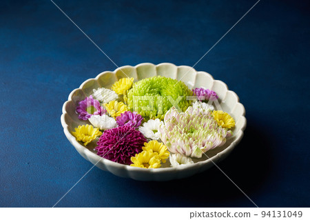 Hanasui chrysanthemum 94131049