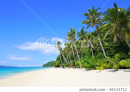 Palm trees on puka shell beach, boracay island, philippines Palm trees on puka shell beach, boracay island, philippines 94131712