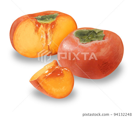 柿子插畫,觸感逼真,觸感溫和 柿子插畫,觸感逼真,觸感溫和 94132248