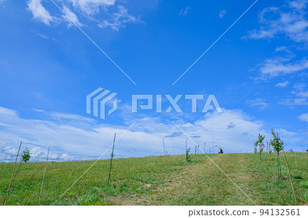 Vast ranch, Hokkaido, Biei, fine weather, grazing, cows 94132561