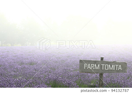 [北海道中富良野町]富田農場/迷霧薰衣草田 94132787