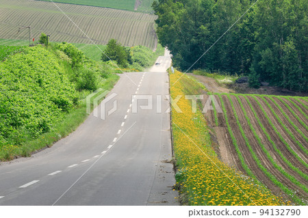 【北海道美瑛町】夏日之路 【北海道美瑛町】夏日之路 94132790