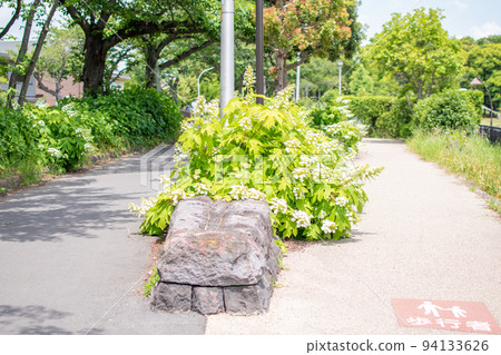 Mizumoto Park Mizumoto Inner Reservoir Waterside Road / Katsushika Ward, Tokyo 94133626