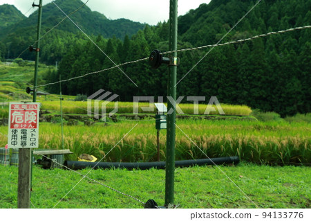 新城市四谷千舞田，橫跨稻田的電柵欄 94133776