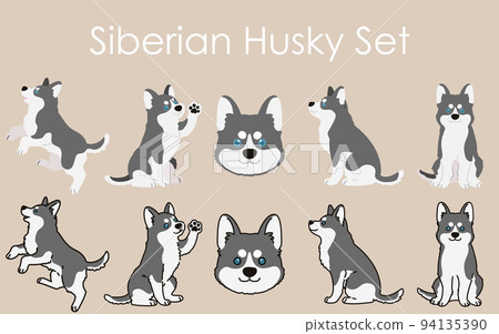 Simple and cute gray Siberian Husky illustration set with/without main line 94135390