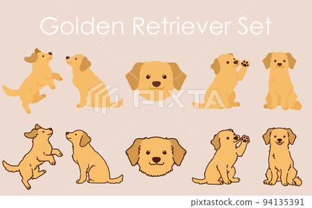 Simple and cute golden retriever illustration set with/without main line Simple and cute golden retriever illustration set with/without main line 94135391