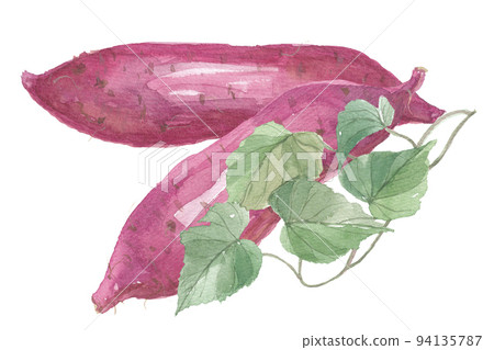 紅薯火影忍者金時與葉子 94135787