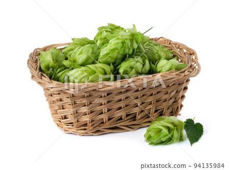 Hop cones in a straw basket on a white background. Green fresh hop cones for making beer and bread closeup. Hops are main ingredients in Beer production. 94135984