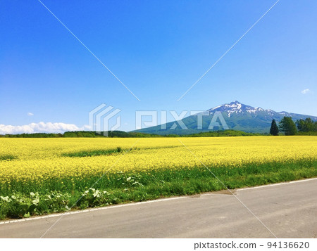 Iwakiyama and Rape Blossoms Field Iwakiyama and Rape Blossoms Field 94136620