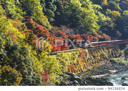 Sagano Scenic Train running through Hozukyo Gorge in late autumn 94136834