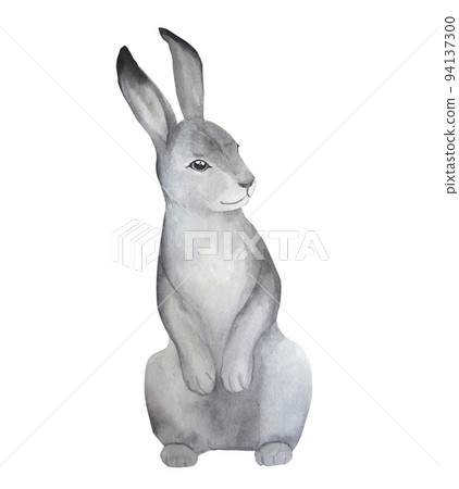 Watercolor illustration of cute rabbits 94137300