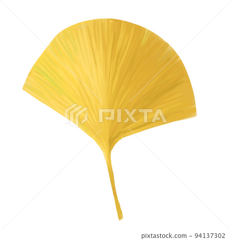 Yellow ginkgo 94137302