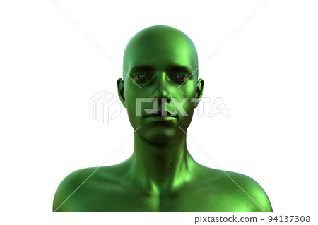 3D render. Portrait of a green bald man on a white background. 3D render. Portrait of a green bald man on a white background. 94137308